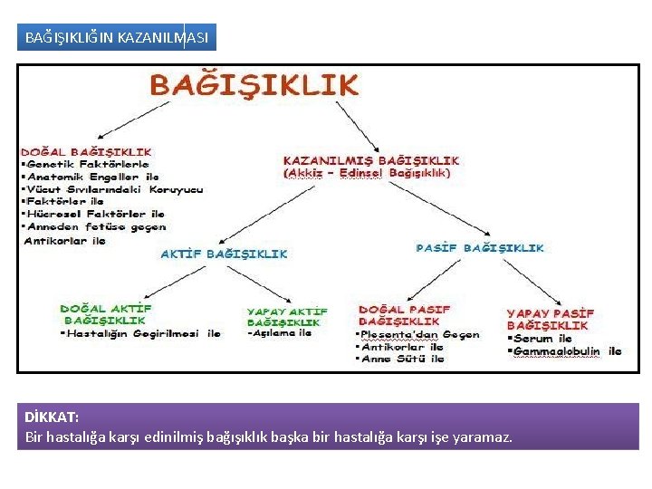 BAĞIŞIKLIĞIN KAZANILMASI DİKKAT: Bir hastalığa karşı edinilmiş bağışıklık başka bir hastalığa karşı işe yaramaz.