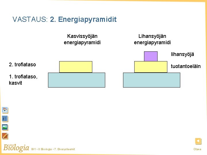 VASTAUS: 2. Energiapyramidit Kasvissyöjän energiapyramidi Lihansyöjän energiapyramidi lihansyöjä 2. trofiataso tuotantoeläin 1. trofiataso, kasvit