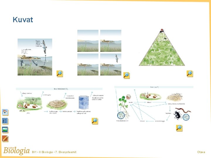 Kuvat BI 1 • II Ekologia • 7. Ekosysteemit Otava 
