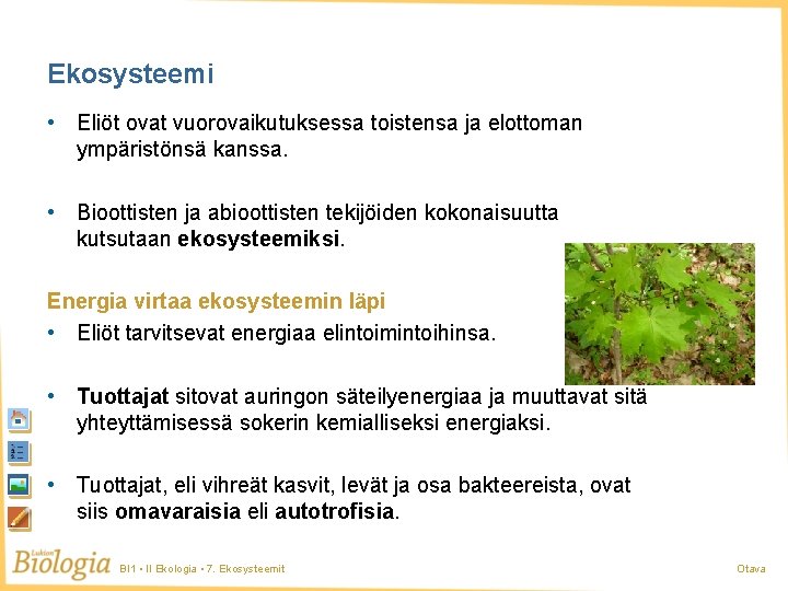 Ekosysteemi • Eliöt ovat vuorovaikutuksessa toistensa ja elottoman ympäristönsä kanssa. • Bioottisten ja abioottisten