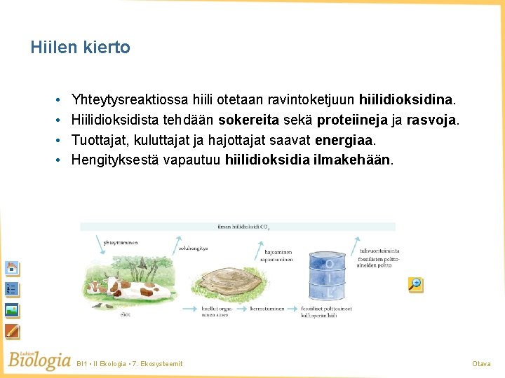 Hiilen kierto • • Yhteytysreaktiossa hiili otetaan ravintoketjuun hiilidioksidina. Hiilidioksidista tehdään sokereita sekä proteiineja