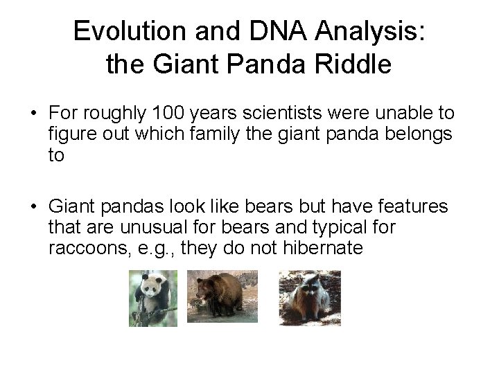 Evolution and DNA Analysis: the Giant Panda Riddle • For roughly 100 years scientists
