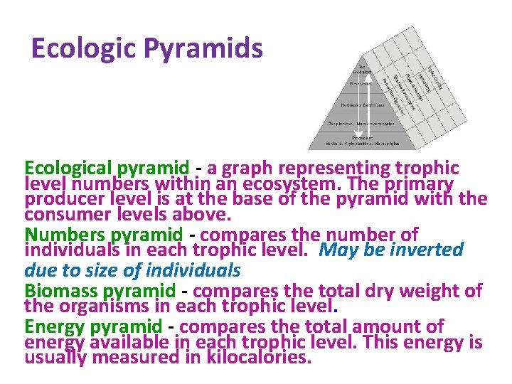 Ecologic Pyramids Ecological pyramid - a graph representing trophic level numbers within an ecosystem.