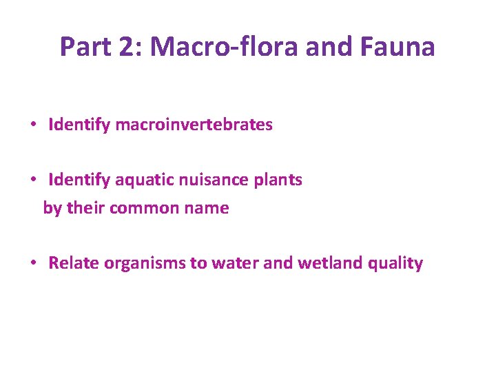 Part 2: Macro-flora and Fauna • Identify macroinvertebrates • Identify aquatic nuisance plants by