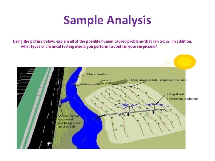 Sample Analysis Using the picture below, explain all of the possible human caused problems