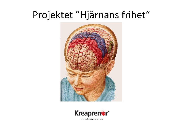 Projektet ”Hjärnans frihet” 