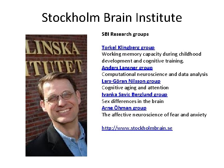 Stockholm Brain Institute SBI Research groups Torkel Klingberg group Working memory capacity during childhood