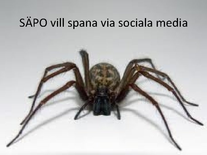 SÄPO vill spana via sociala media 