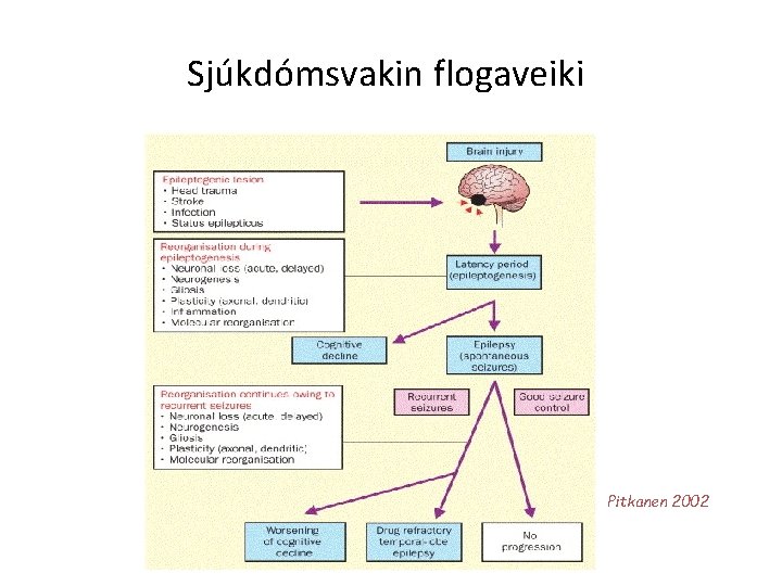 Sjúkdómsvakin flogaveiki Pitkanen 2002 