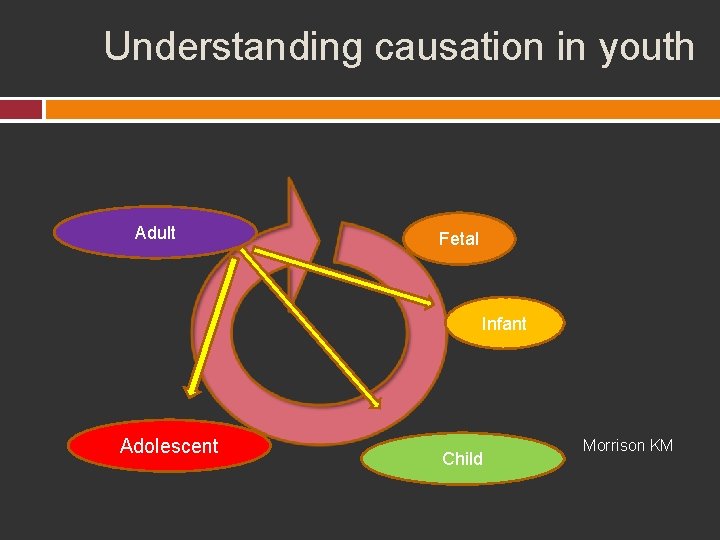 Understanding causation in youth Adult Fetal Infant Adolescent Child Morrison KM 