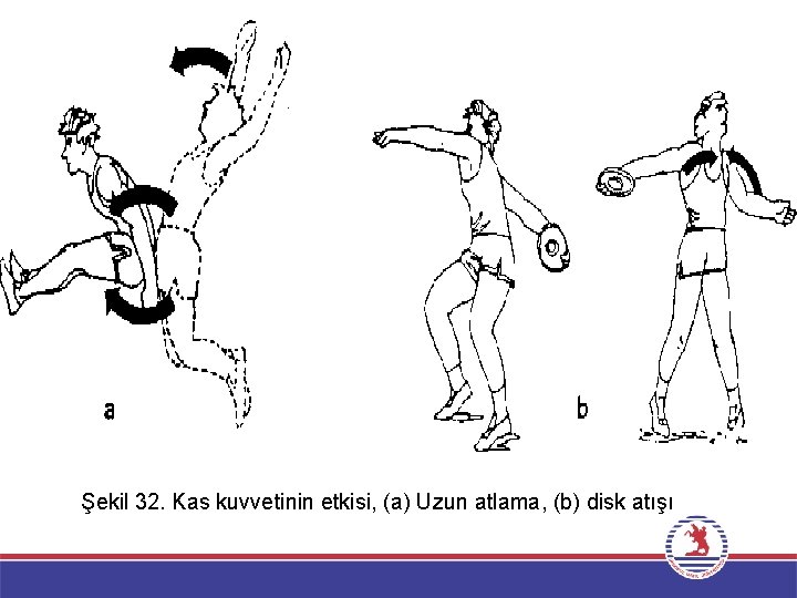 Şekil 32. Kas kuvvetinin etkisi, (a) Uzun atlama, (b) disk atışı 