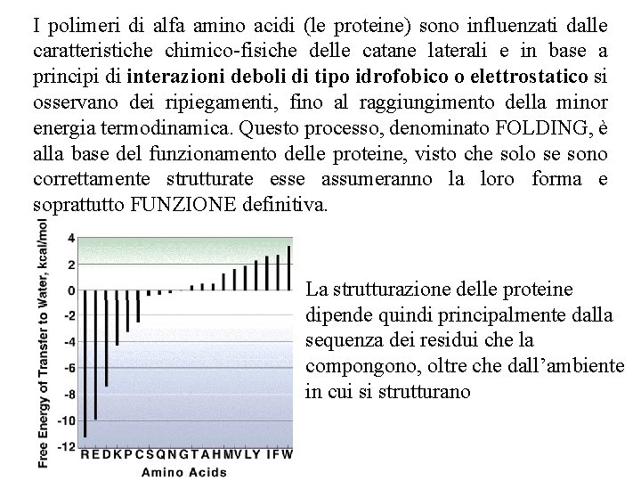 I polimeri di alfa amino acidi (le proteine) sono influenzati dalle caratteristiche chimico-fisiche delle