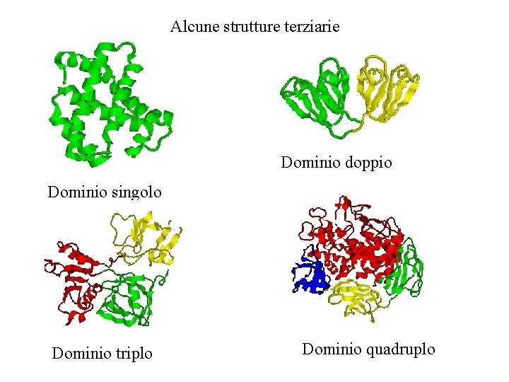 Alcune strutture terziarie Dominio doppio Dominio singolo Dominio triplo Dominio quadruplo 