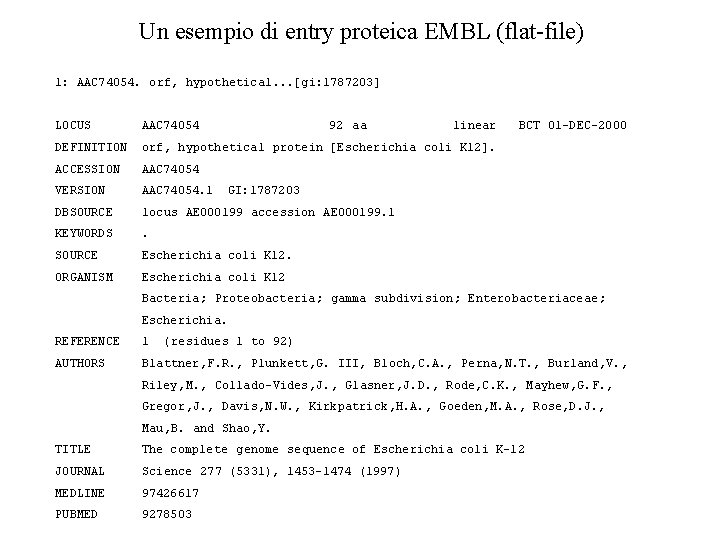 Un esempio di entry proteica EMBL (flat-file) 1: AAC 74054. orf, hypothetical. . .