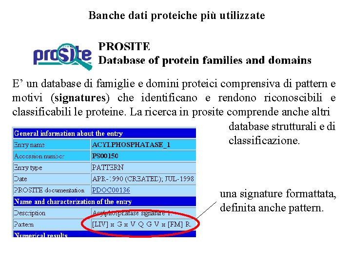 Banche dati proteiche più utilizzate E’ un database di famiglie e domini proteici comprensiva