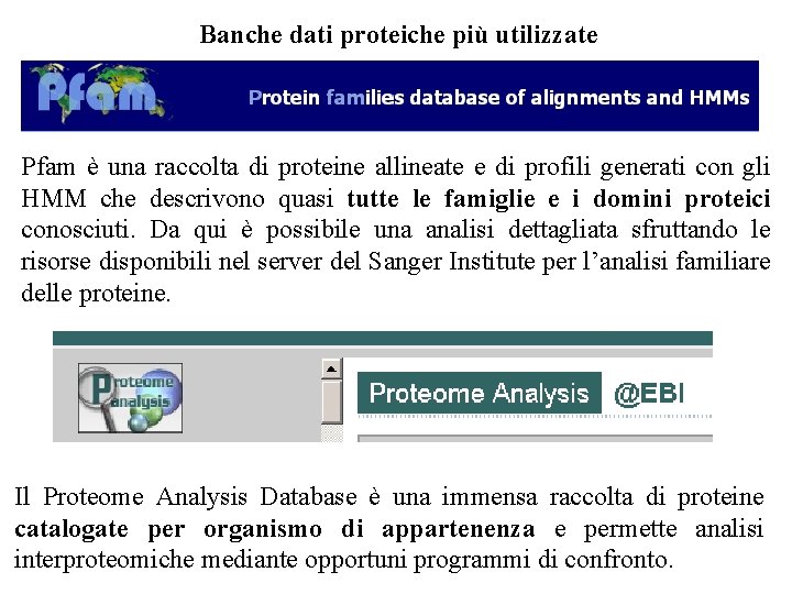 Banche dati proteiche più utilizzate Pfam è una raccolta di proteine allineate e di
