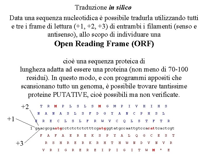 Traduzione in silico Data una sequenza nucleotidica è possibile tradurla utilizzando tutti e tre