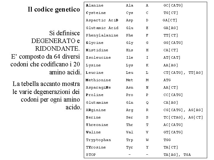 Il codice genetico Alanine Ala A GC[CATG] Cysteine Cys C TG[CT] Aspartic Aci. D