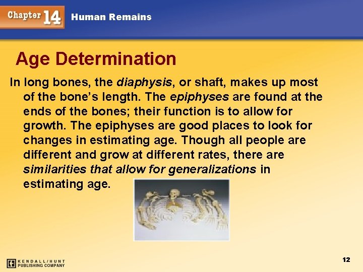 Human Remains Age Determination In long bones, the diaphysis, or shaft, makes up most