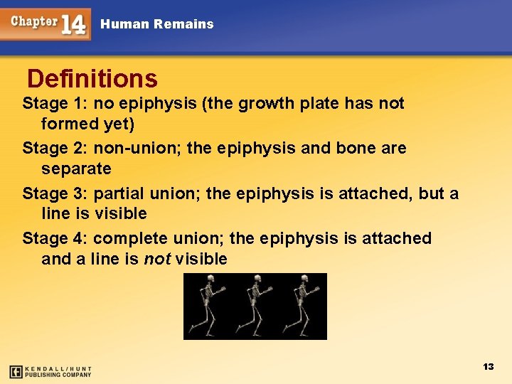 Human Remains Definitions Stage 1: no epiphysis (the growth plate has not formed yet)