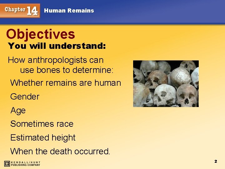 Human Remains Objectives You will understand: How anthropologists can use bones to determine: Whether