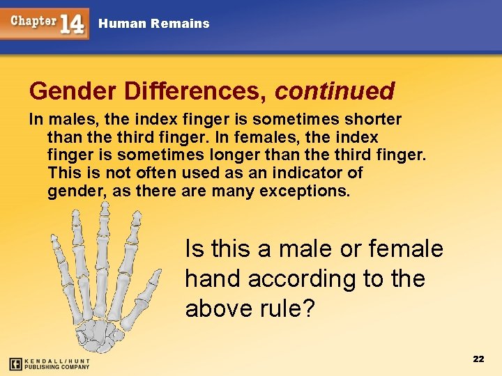Human Remains Gender Differences, continued In males, the index finger is sometimes shorter than