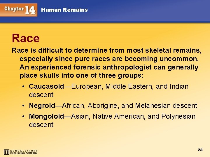 Human Remains Race is difficult to determine from most skeletal remains, especially since pure