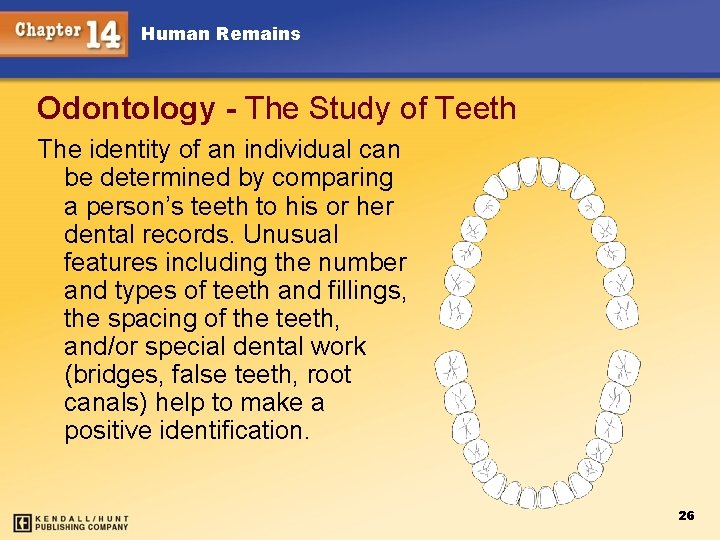 Human Remains Odontology - The Study of Teeth The identity of an individual can