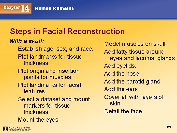 Human Remains Steps in Facial Reconstruction With a skull: Establish age, sex, and race.