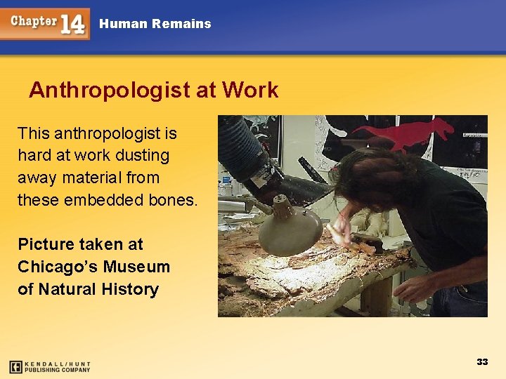 Human Remains Anthropologist at Work This anthropologist is hard at work dusting away material