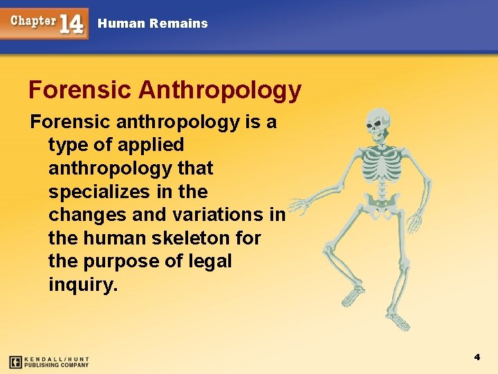 Human Remains Forensic Anthropology Forensic anthropology is a type of applied anthropology that specializes