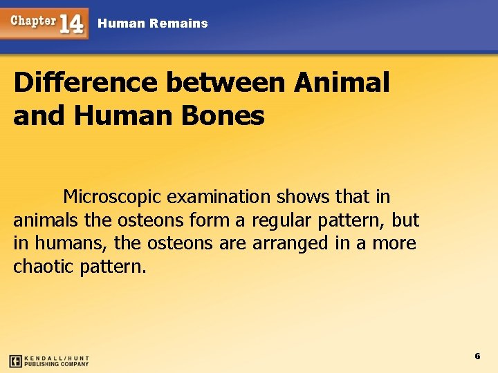 Human Remains Difference between Animal and Human Bones Microscopic examination shows that in animals