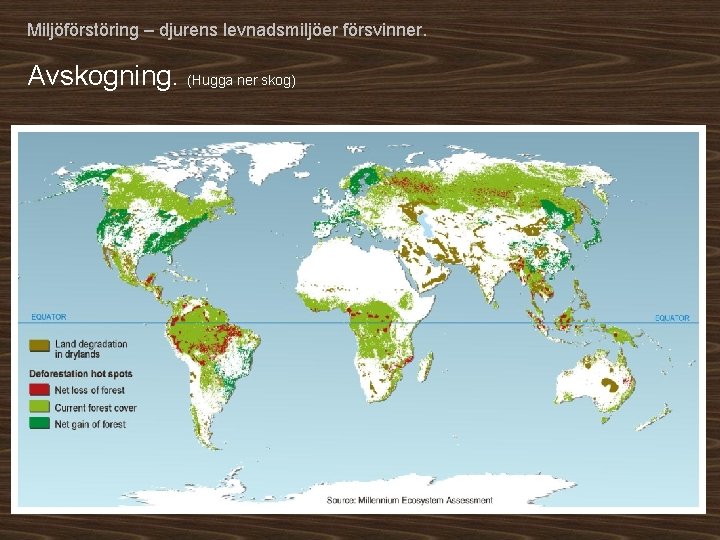 Miljöförstöring – djurens levnadsmiljöer försvinner. Avskogning. (Hugga ner skog) 