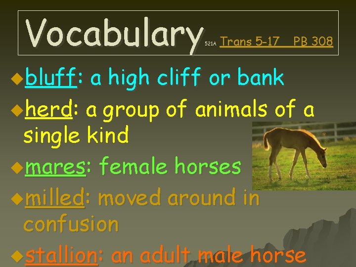 Vocabulary 521 A ubluff: Trans 5 -17 PB 308 a high cliff or bank