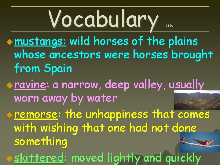 Vocabulary u mustangs: 521 A wild horses of the plains whose ancestors were horses