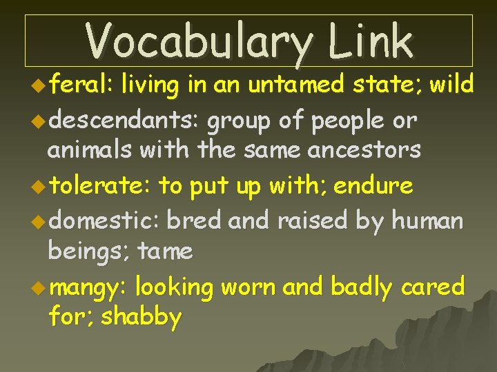 Vocabulary Link u feral: living in an untamed state; wild u descendants: group of