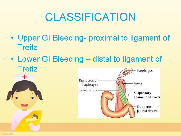 CLASSIFICATION • Upper GI Bleeding- proximal to ligament of Treitz • Lower GI Bleeding