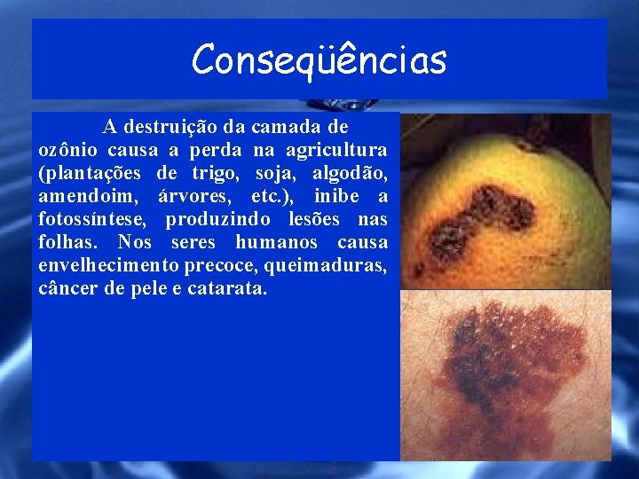 Conseqüências A destruição da camada de ozônio causa a perda na agricultura (plantações de