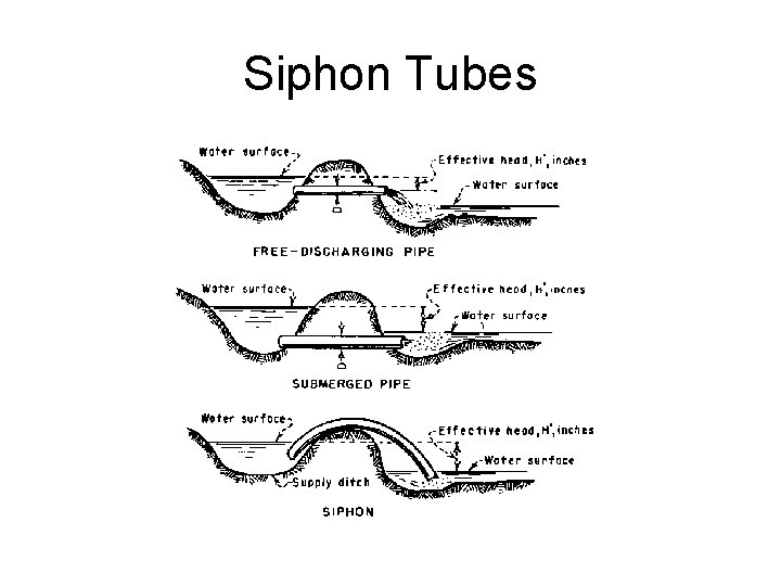 Siphon Tubes 