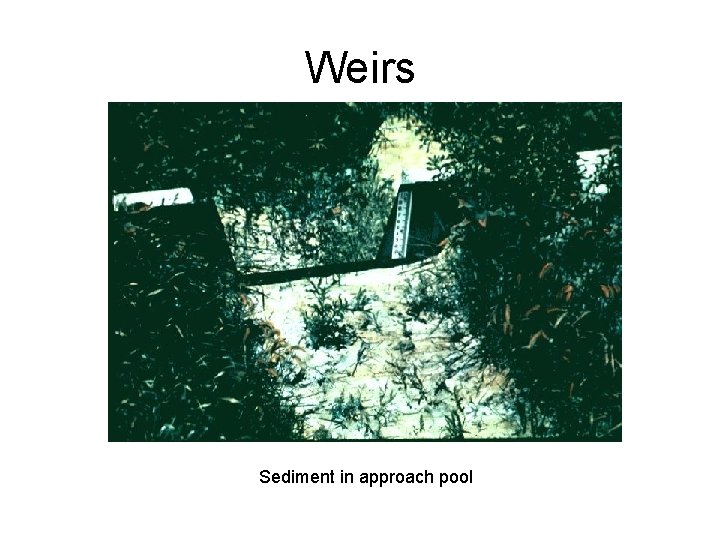 Weirs Sediment in approach pool 