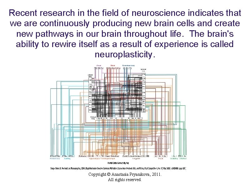 Recent research in the field of neuroscience indicates that we are continuously producing new