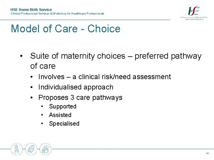 HSE Home Birth Service Clinical Professional Seminar & Workshop for Healthcare Professionals Model of