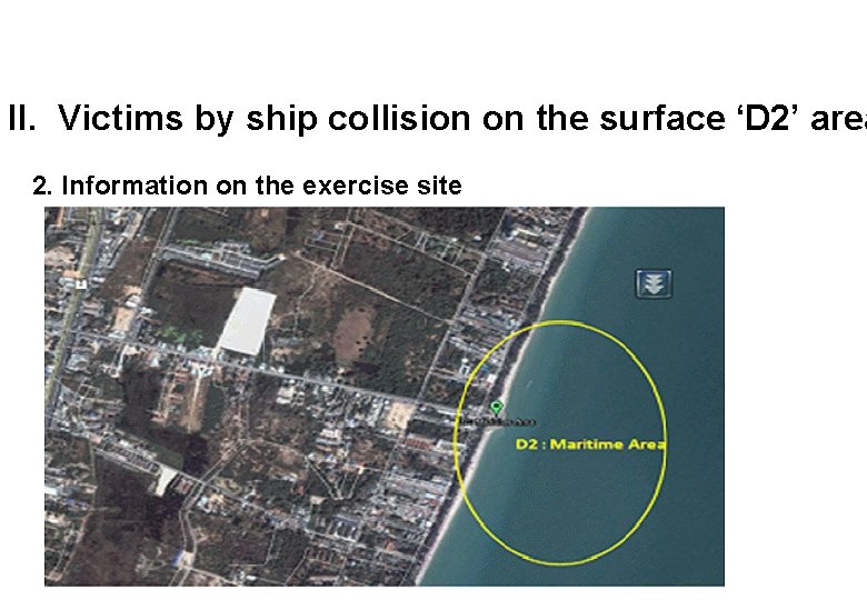 II. Victims by ship collision on the surface ‘D 2’ area 2. Information on