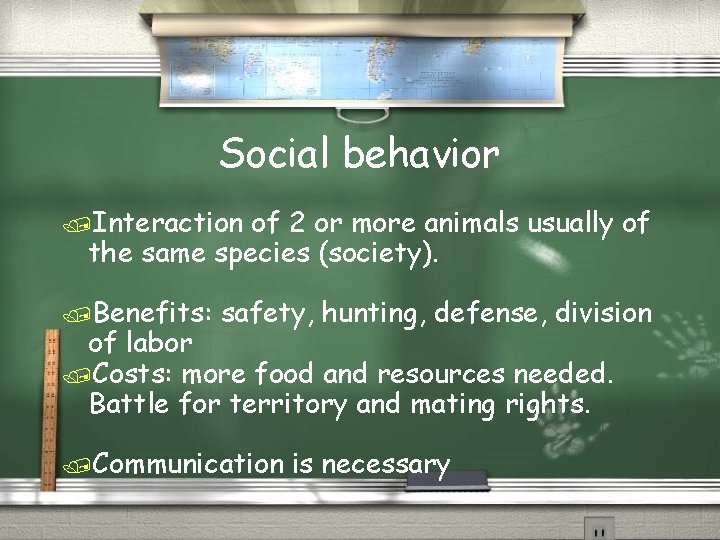 Social behavior /Interaction of 2 or more animals usually of the same species (society).