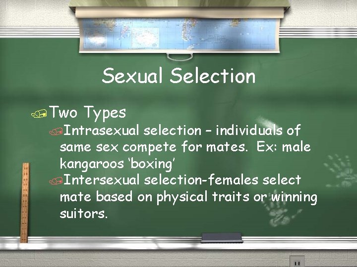 Sexual Selection /Two Types /Intrasexual selection – individuals of same sex compete for mates.