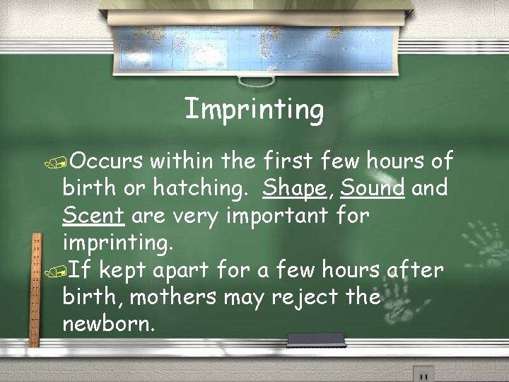 Imprinting /Occurs within the first few hours of birth or hatching. Shape, Sound and