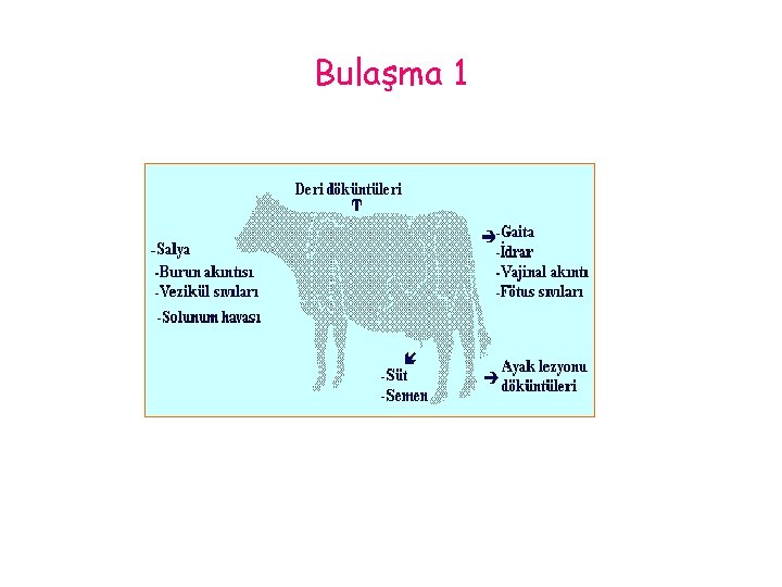 Bulaşma 1 