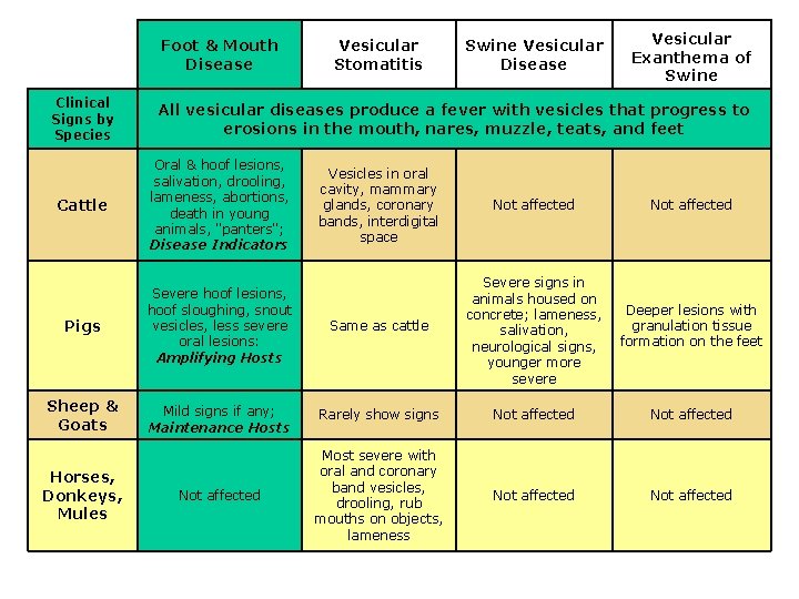 Foot & Mouth Disease Clinical Signs by Species Vesicular Stomatitis Swine Vesicular Disease Vesicular