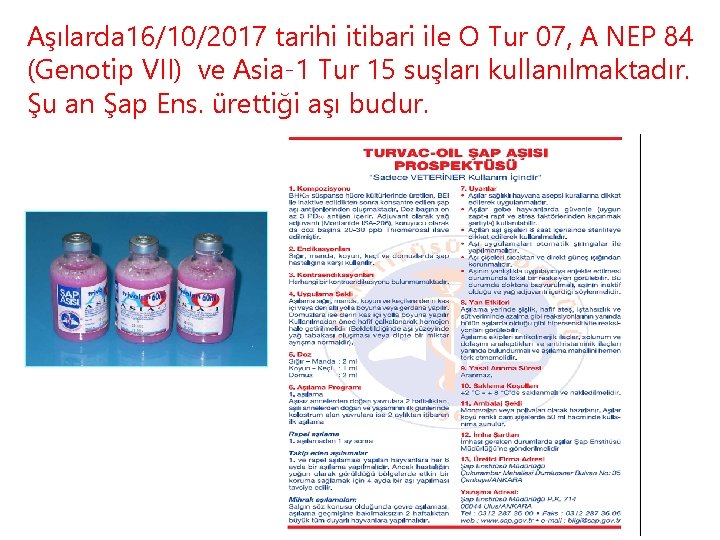 Aşılarda 16/10/2017 tarihi itibari ile O Tur 07, A NEP 84 (Genotip VII) ve