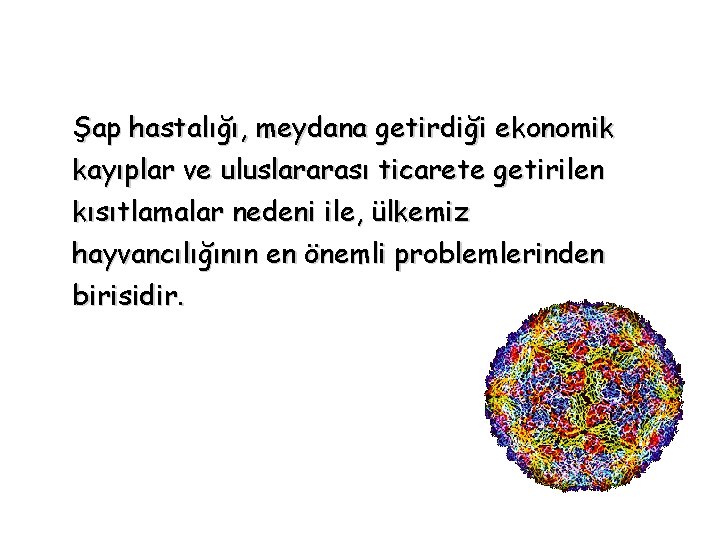 Şap hastalığı, meydana getirdiği ekonomik kayıplar ve uluslararası ticarete getirilen kısıtlamalar nedeni ile, ülkemiz